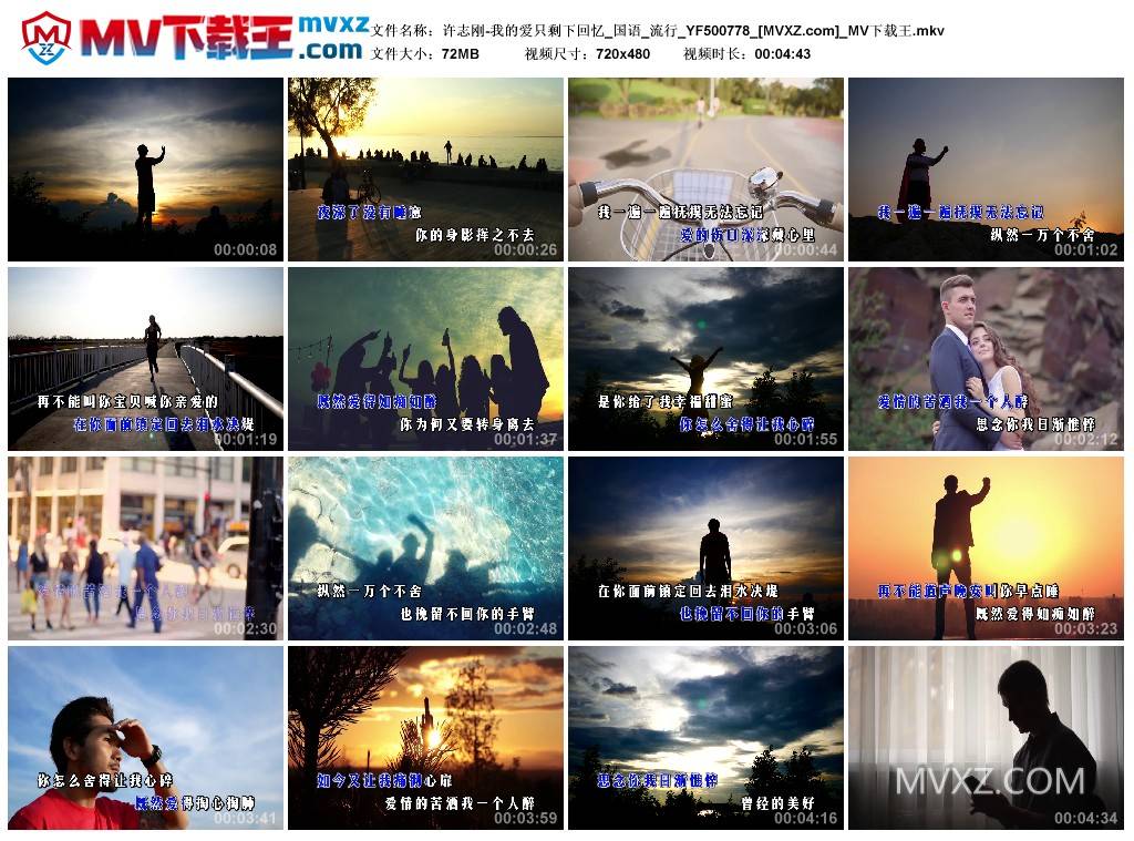 许志刚-我的爱只剩下回忆_国语_流行_YF500778